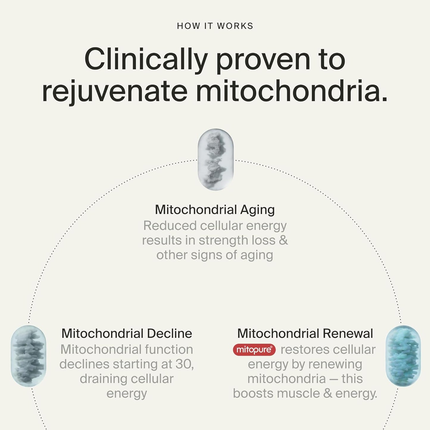 Advanced Urolithin A Cellular Renewal