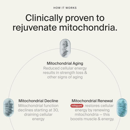 Advanced Urolithin A Cellular Renewal