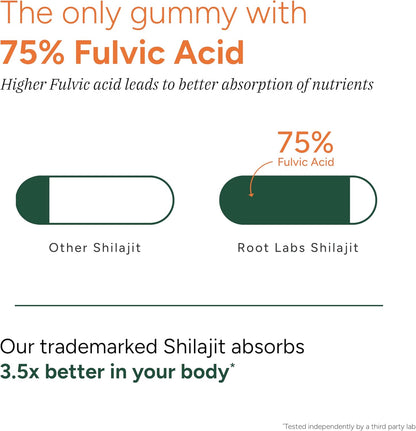 Powerful 10 in 1 - Alpha Gummies